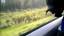 Risky blowjob on a train